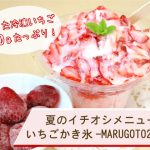 夏限定メニューが登場！